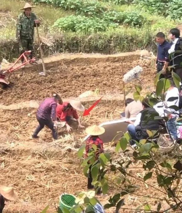 Netizen mắng Triệu Lệ Dĩnh quên nguồn cội vì không biết cày ruộng ở phim mới-4