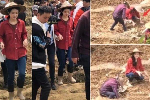 Netizen mắng Triệu Lệ Dĩnh quên cội nguồn vì không biết cày ruộng ở phim mới