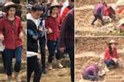 Netizen mắng Triệu Lệ Dĩnh 'quên nguồn cội' vì không biết cày ruộng ở phim mới