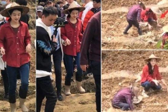 Netizen mắng Triệu Lệ Dĩnh 'quên nguồn cội' vì không biết cày ruộng ở phim mới