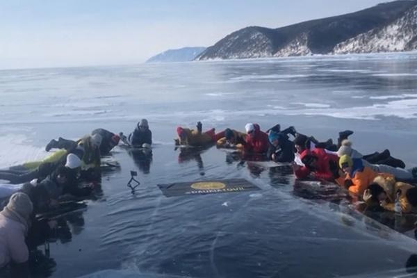 Cá heo xuất hiện trở lại tại kênh đào Venice-1