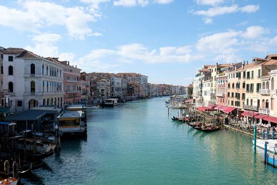 Cá heo xuất hiện trở lại tại kênh đào Venice