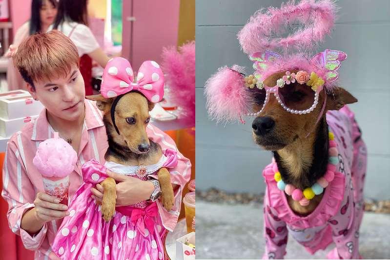 Cuộc sống chuẩn quý tộc của cô chó từng bị bỏ rơi-6