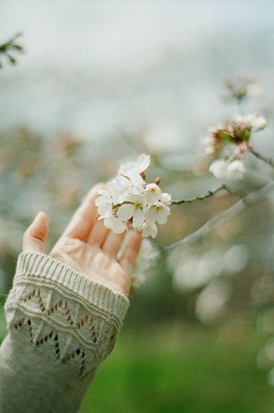 Tử vi 12 cung hoàng đạo thứ Bảy ngày 27/3/2021: Song Ngư thất hứa, Bạch Dương hạnh phúc-2