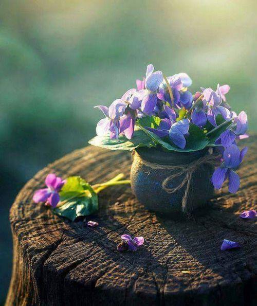 Tử vi 12 cung hoàng đạo thứ Bảy ngày 27/3/2021: Song Ngư thất hứa, Bạch Dương hạnh phúc-3