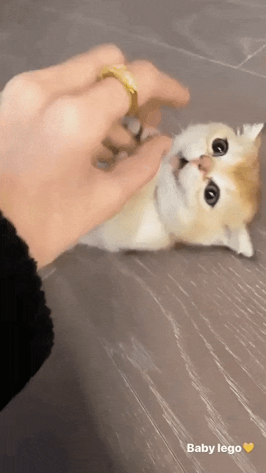 Lisa dạy fan cách yêu bản thân: Nghe thích mê nhưng tốn kém quá!-5