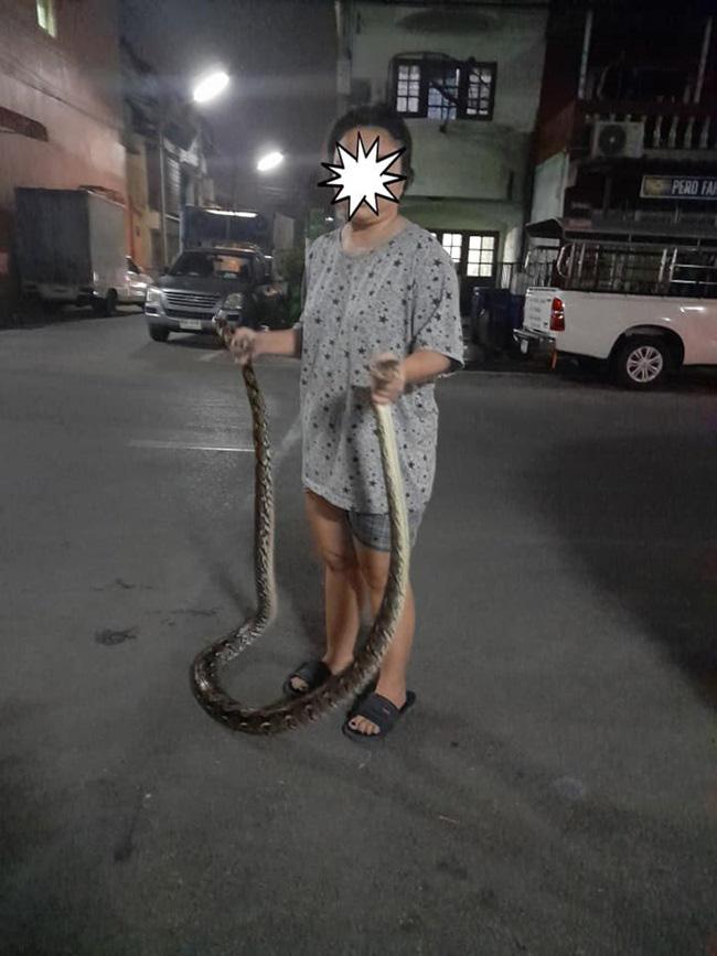 Cô chủ lao ra ứng cứu mèo cưng, điếng người chân dung kẻ thủ ác-1