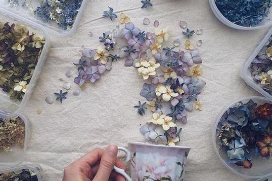 Tử vi 12 cung hoàng đạo Chủ nhật ngày 28/3/2021: Kim Ngưu lí trí, Bảo Bình bận rộn