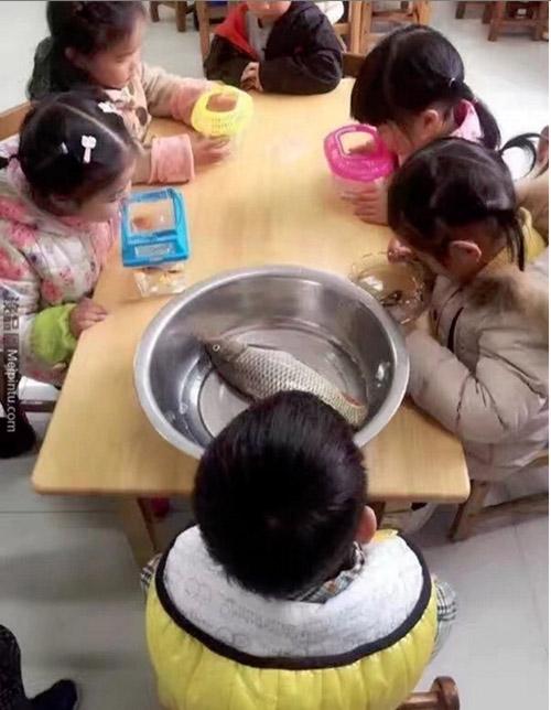 Loạt ý tưởng nhìn vô lý nhưng hết sức thuyết phục của lũ trẻ-3