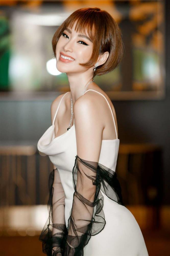 Những bộ phận bị cho biến dạng vì phẫu thuật thẩm mỹ của sao Việt-6