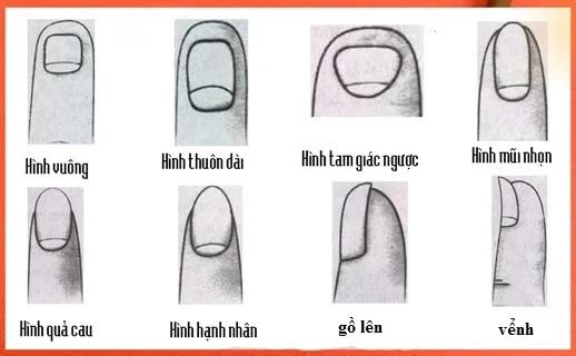 Nhìn hình dạng móng tay cho biết tính cách của bạn-2
