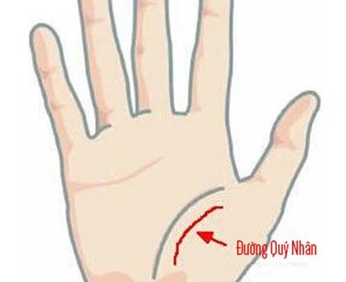 Ngửa lòng bàn tay, thấy có đặc điểm này chẳng lo đói khổ-3