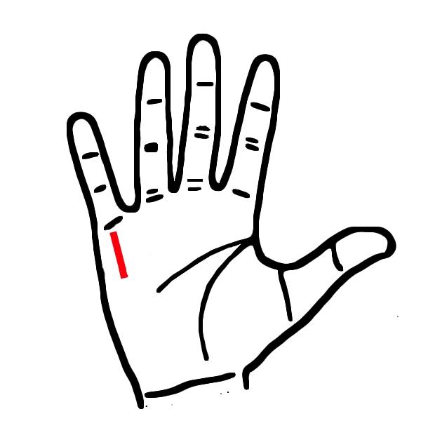 Ngửa lòng bàn tay, thấy có đặc điểm này chẳng lo đói khổ-4