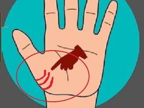 Ngửa lòng bàn tay, thấy có đặc điểm này chẳng lo đói khổ-6