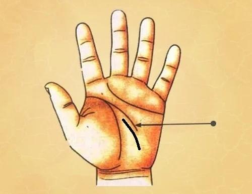 Ngửa lòng bàn tay, thấy có đặc điểm này chẳng lo đói khổ-7