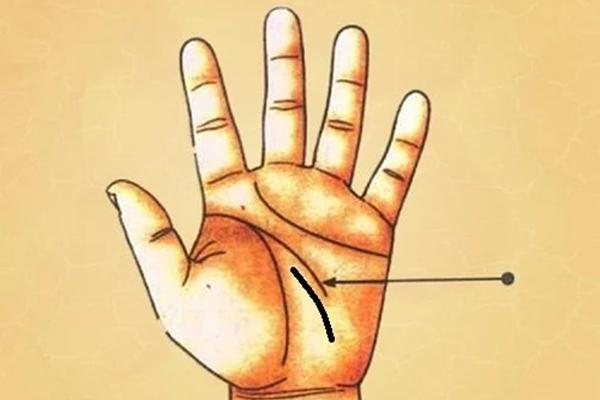 Những con giáp sinh tháng này, sau Rằm tháng 2 sự nghiệp lên như diều gặp gió-4