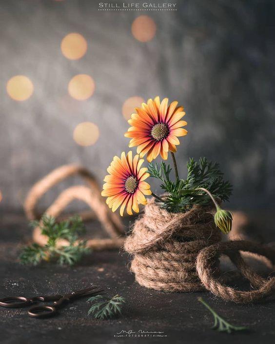 Tử vi 12 cung hoàng đạo thứ Ba ngày 30/3/2021: Cự Giải khởi sắc, Nhân Mã mệt mỏi-3