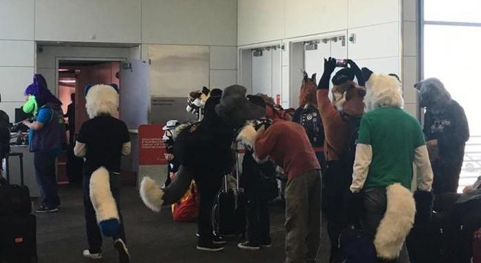 Bật cười với hình ảnh khó tin chỉ bắt gặp ở các sân bay-6