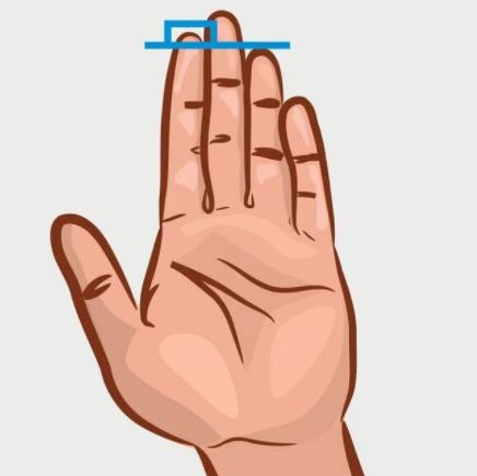 Muốn tìm bạn trai thành đạt, cứ nhìn vào chiều dài ngón trỏ là biết-2