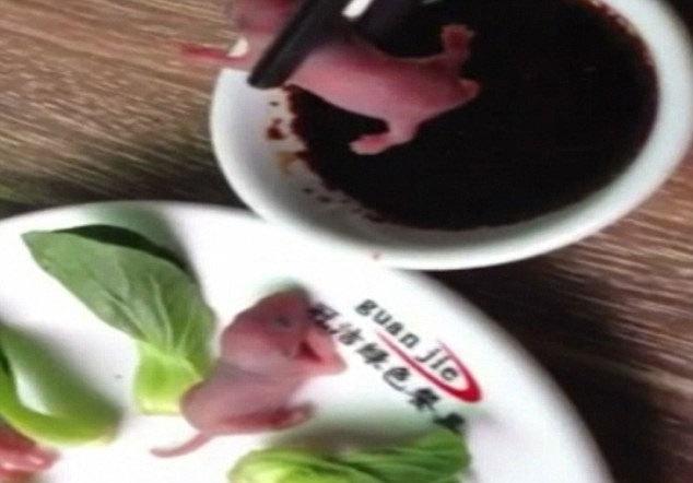 Rán giòn bầy chuột con, chàng trai bị chỉ trích ác ma tàn nhẫn-3