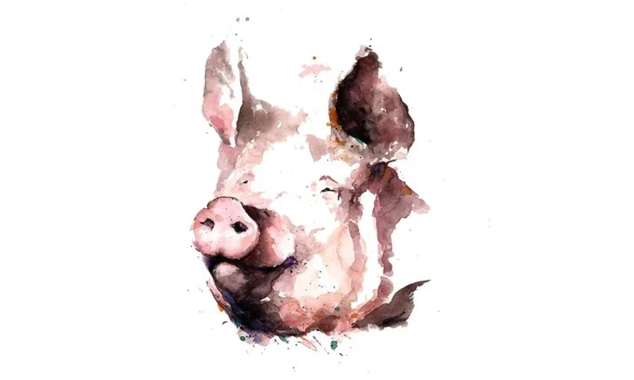 3 con giáp vận đào hoa bùng nổ, sớm tìm được ý trung nhân-2