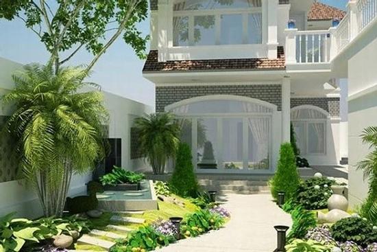 Người giàu không bao giờ tiết lộ: 4 loại cây trồng đúng 'long mạch' giàu nứt đố đổ vách