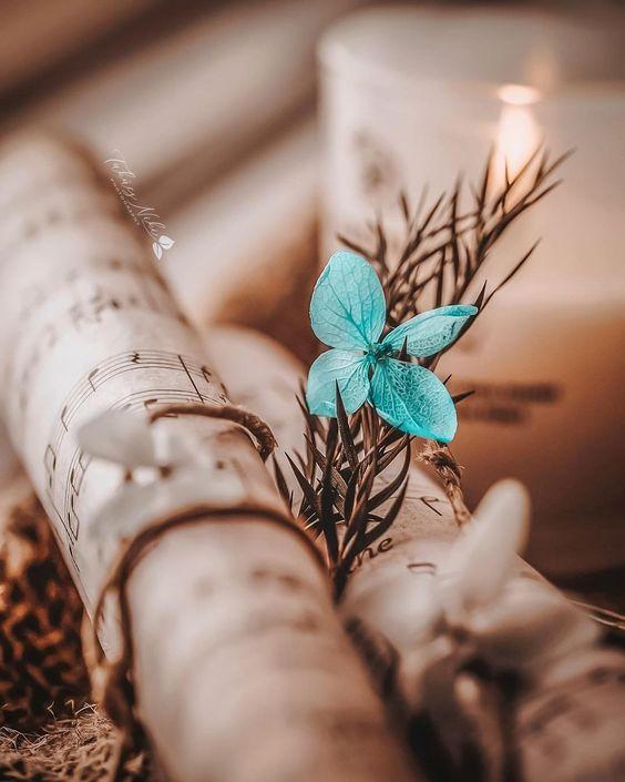 Tử vi 12 cung hoàng đạo thứ Tư 31/3/2021: Bọ Cạp nhiều tiền, Sư Tử nóng tính-1