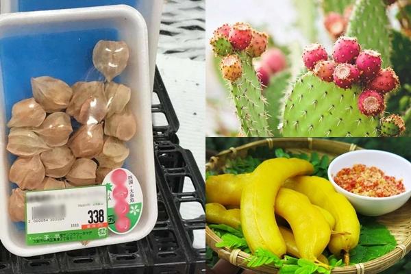 Quả dại miền Tây nhưng lại cực đắt đỏ bên Nhật-3