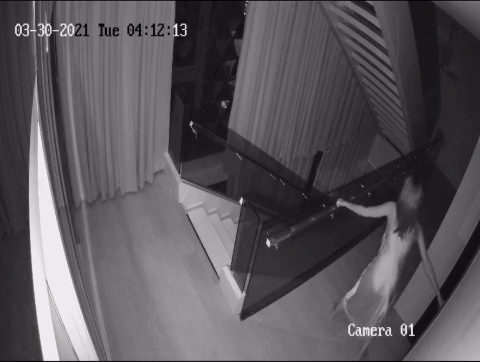 CLIP: Ngọc Trinh mặc váy ngủ chạy té khói khi trộm vào nhà-4