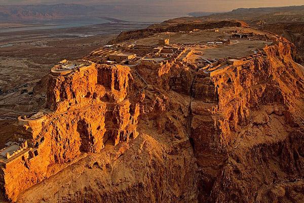 Sư tử biển khổng lồ áp sát thuyền xin cá ngư dân-1