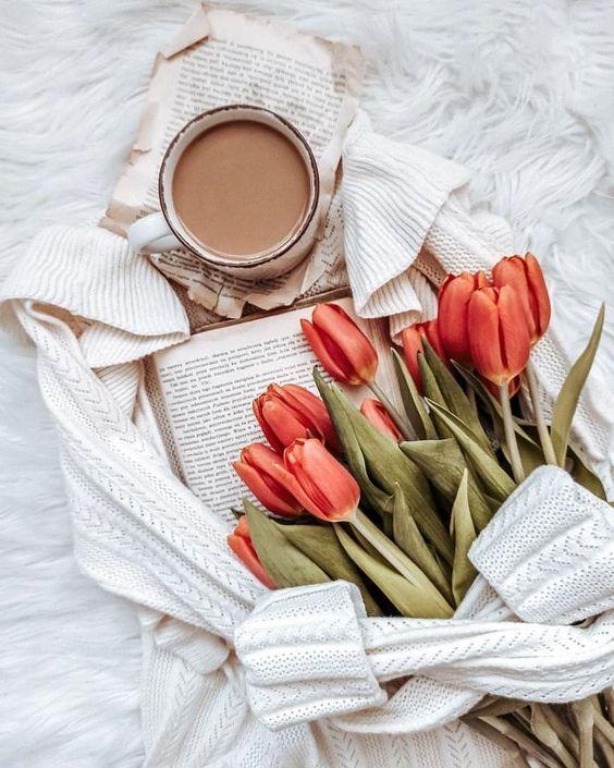 Ngày Cá tháng Tư của 12 cung hoàng đạo, ai may mắn, ai xui xẻo?-1