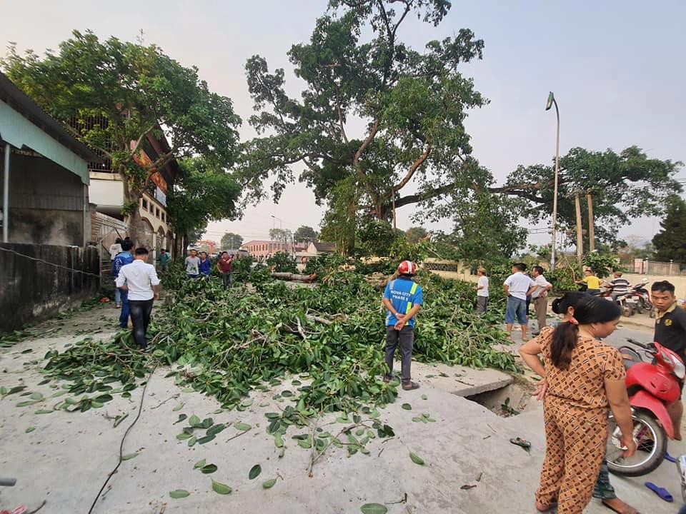 NÓNG: Cây đa 300 tuổi gãy 2 nhánh lớn đè trúng 4 học sinh tiểu học đi học về-2