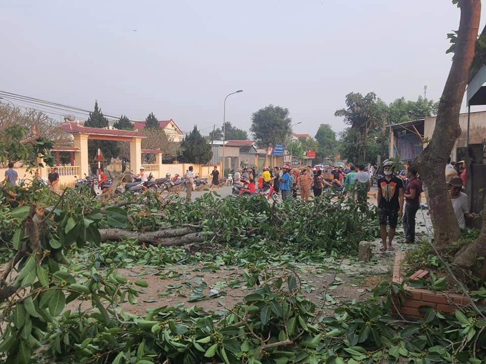 NÓNG: Cây đa 300 tuổi gãy 2 nhánh lớn đè trúng 4 học sinh tiểu học đi học về-3