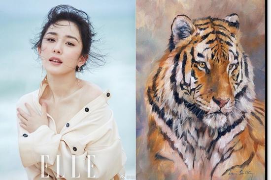 Tử vi thứ Sáu ngày 2/4/2021 của 12 con giáp: Dần gặp thất bại