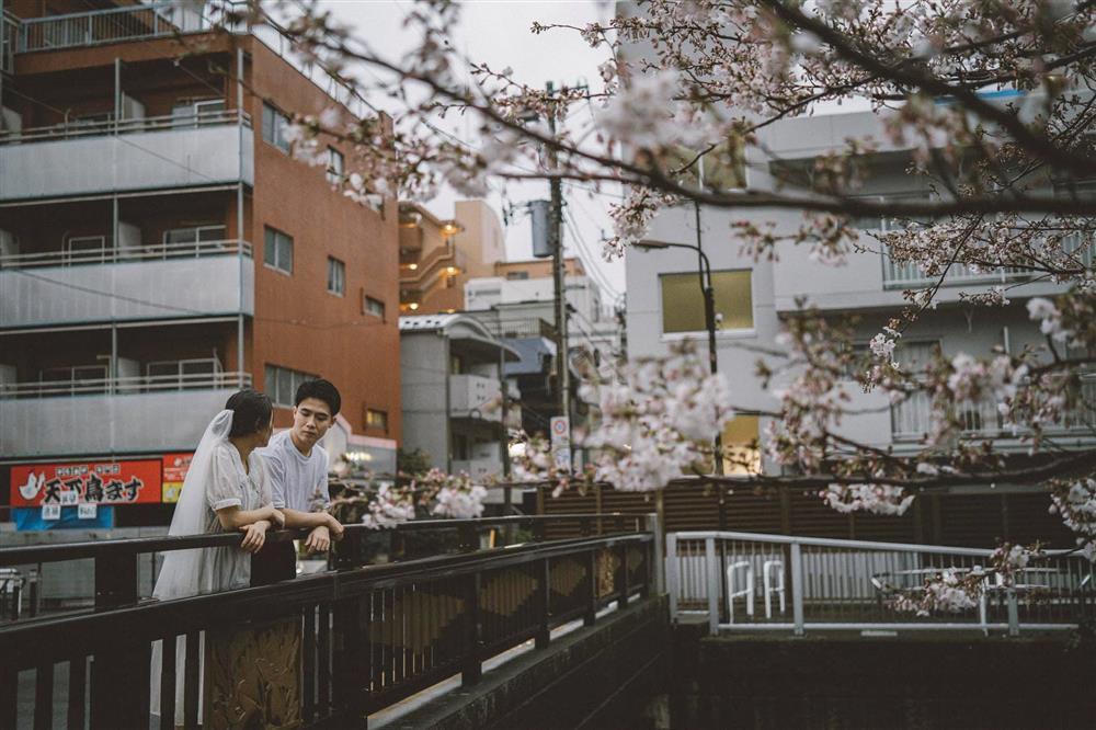 Cặp du học sinh Việt tại Tokyo chớp bộ ảnh cưới tuyệt đẹp dưới cơn mưa-7