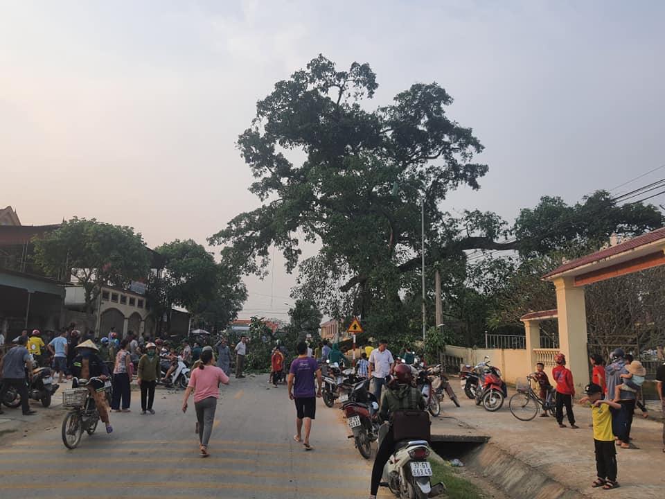 Cây đa cổ gẫy cành đè 4 học sinh: 1 bé nghi chấn động não-1