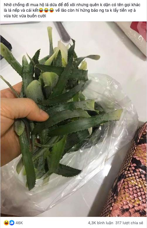 Sai em trai hái lá lốt về rán chả, chị gái tẻ ngửa nhìn thứ em đưa-4