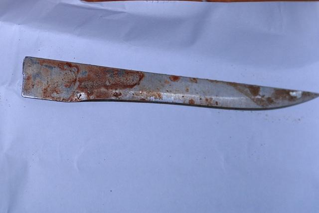 Tạm giam học sinh lớp 10 giết người cướp tài sản, giấu xác phi tang-2