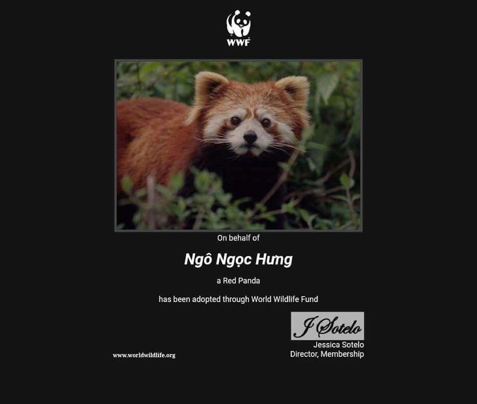 Chờ thần tượng debut, fandom Hanbin ủng hộ 160 triệu làm từ thiện-8