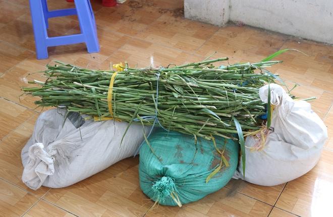 Tạm giữ người phụ nữ tổ chức đám tang giả-3