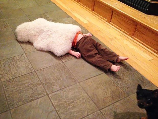 Phì cười với kiểu trốn tìm giấu đầu hở đuôi của các em bé-1