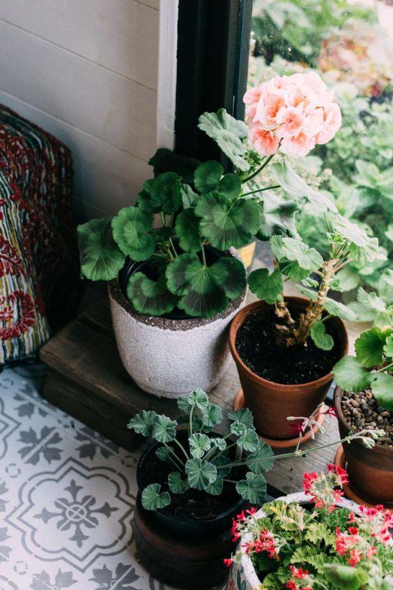 Tử vi 12 cung hoàng đạo Chủ nhật ngày 4/4/2021: Song Tử tốn kém-1