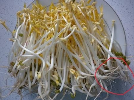 Tưởng là bỏ đi, hóa ra rễ những loại rau này lại cực nhiều dinh dưỡng-1