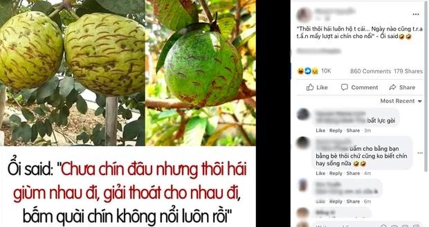 Bức ảnh trái ổi bị tra tấn khiến ai cũng nhớ lại tuổi thơ: Người thành phố chắc không biết đâu-1