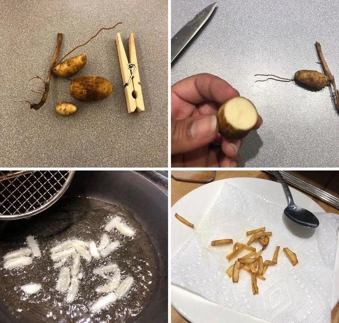 Hết lòng chăm bẵm chờ thu hoạch, quả ngọt không thấy chỉ ôm bụng tức-4