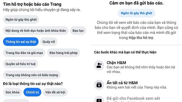 Người Việt treo hashtag #HoangSaTruongSabelongtoVietnam phản đối H&M-2