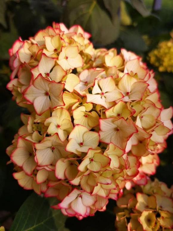 Người sinh vào những giờ này có cả phúc khí và tài lộc-4