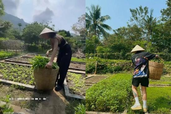 Binz đăng ảnh về quê hái rau, dân tình gọi tên Đen Vâu 'đẩy thuyền' BlackBinz