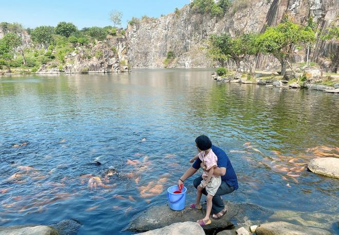 Đàn cá trê hàng nghìn con hút khách du lịch đến Thoại Sơn-3