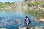 Đàn cá trê hàng nghìn con hút khách du lịch đến Thoại Sơn